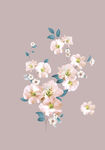 手绘花