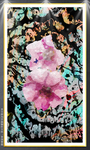 创意花卉