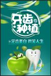 牙齿
