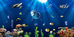 海洋生物