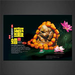 琥珀海报