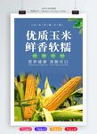 玉米