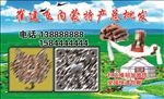 内蒙古特产名片