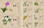 手绘中草药