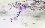 唯美