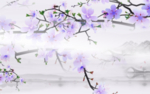 唯美