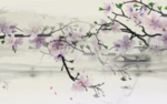 唯美