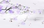 唯美
