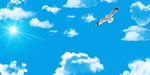 天空
