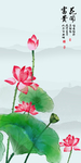 荷花水墨画