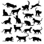 猫剪影猫插画
