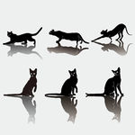 猫剪影猫插画