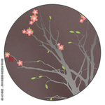 梅花插图
