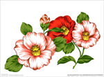花 手绘花