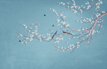 白色梅花电视墙背景