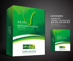绿色手提袋 手提袋设计 手提袋