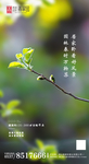 地产立春微信设计稿