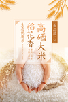 大米