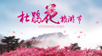 杜鹃花旅游节