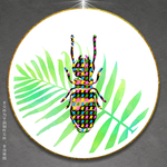昆虫装饰画