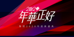 背板