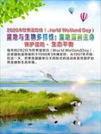世界湿地日
