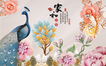 孔雀家和背景墙