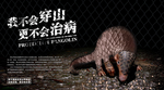 保护穿山甲公益海报