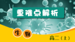 二生物图标标题