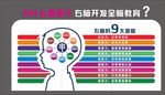 全脑教育