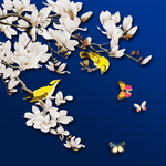玉兰花花鸟画挂画