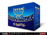 蓝莓 蓝莓包装 新鲜蓝莓展开图