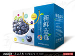 蓝莓 野生蓝莓 蓝莓包装展开图