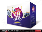 蓝莓 野生蓝莓 蓝莓包装展开图