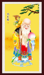 老寿星