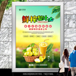 果汁店梨汁海报灯箱展板展架单页