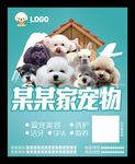 宠物店寄养护理海报洗澡用品美容