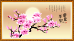 玉兰花