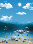 海洋