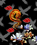 龙花卉