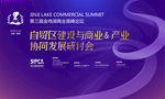 商业高峰论坛
