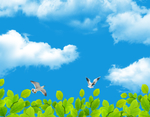 天空