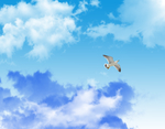 天空
