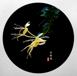 金银花