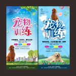 宠物训练海报