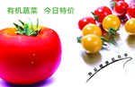 西红柿