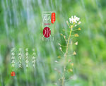 春雨封面