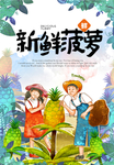 菠萝广告