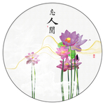 高清荷花