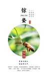 商务简洁惊蛰节气海报